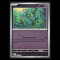 Dhelmise Holo #039/084 2026 Pokemon Mega Evolutions Pitch Black  NM