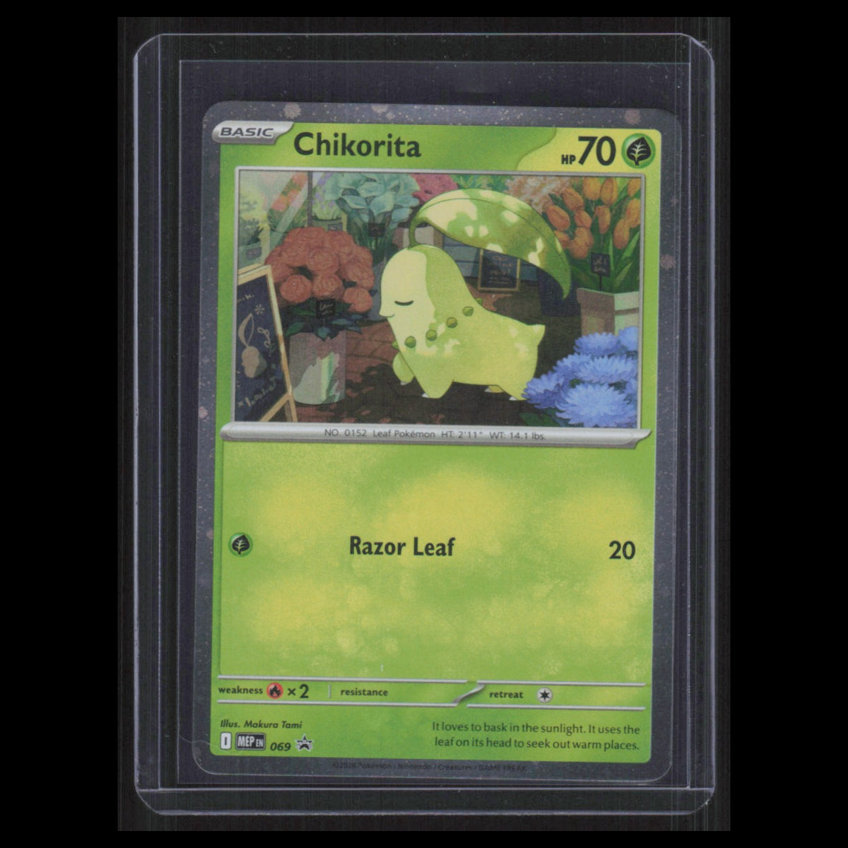 Chikorita Cosmos Holo #069 2026 Pokemon Promo Pokemon Card NM