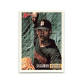 Salomon Torres 1993 Bowman #660 San Francisco Giants Baseball Card NM